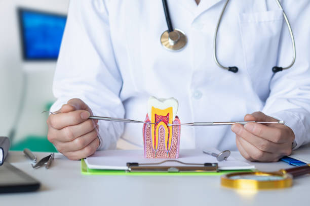 Best Tooth Infection Emergency Dentist  in Frostburg, MD